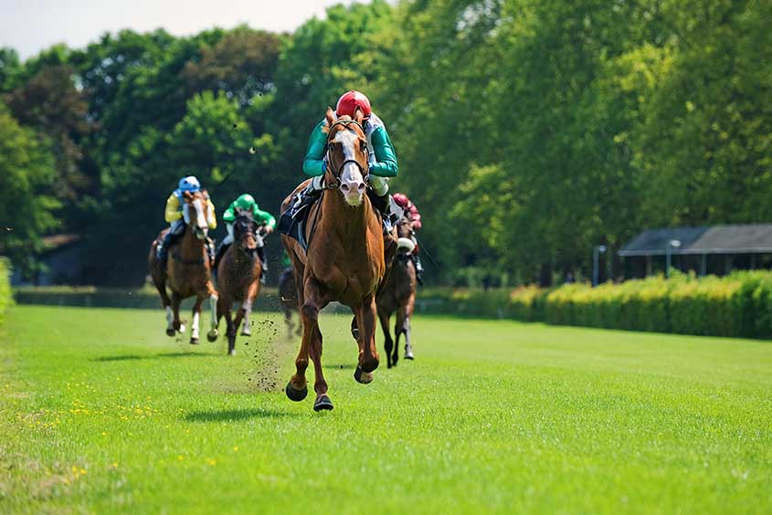 Racehorses on track